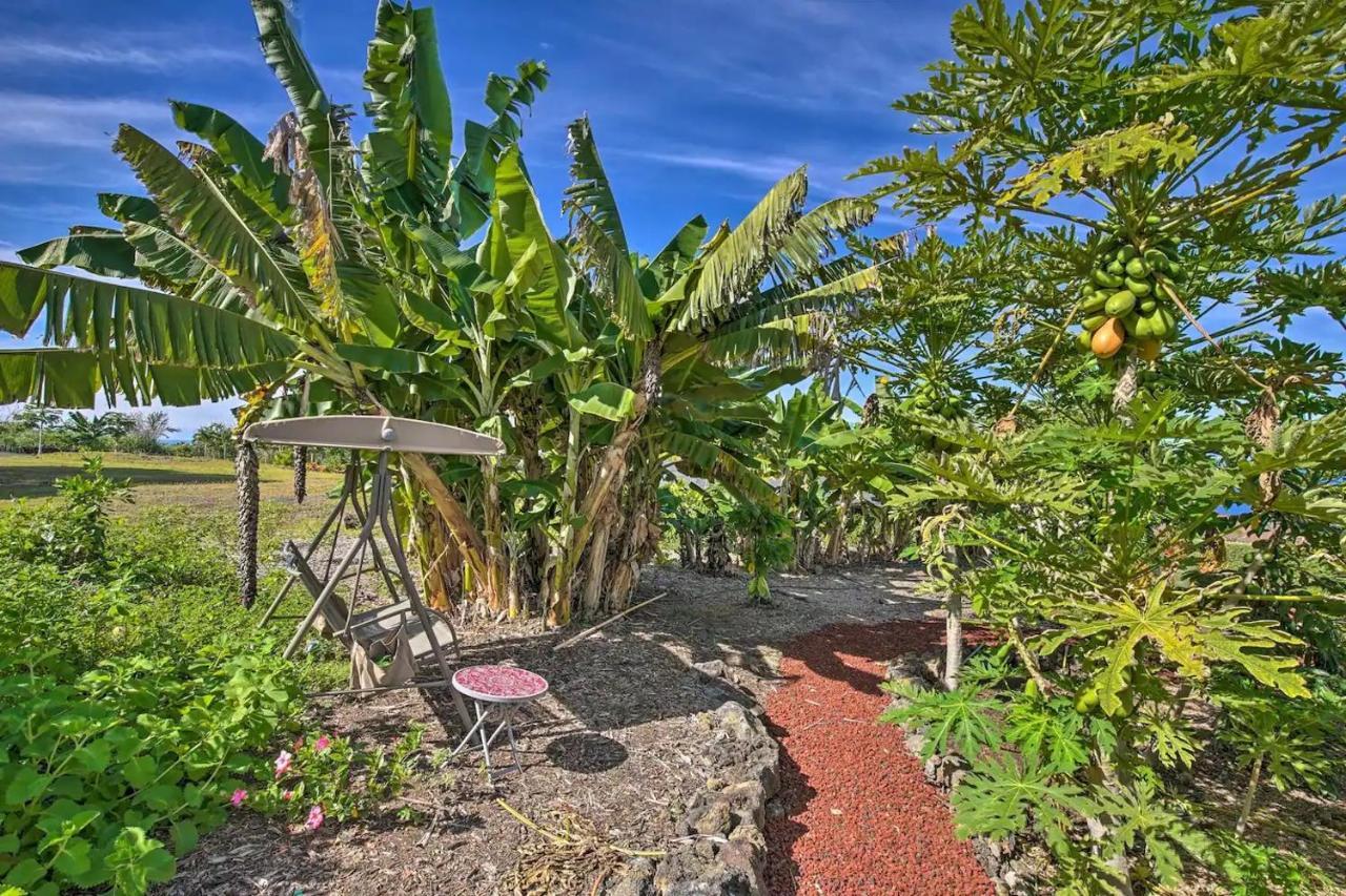 Holualoa Tranquility Guest House מראה חיצוני תמונה